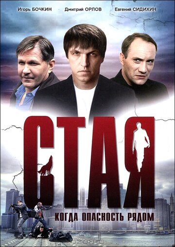 Фильм «Стая» скачать бесплатно в хорошем качестве без регистрации и смс 1080p Фильм «Стая» скачать бесплатно в хорошем качестве без регистрации и смс 1080p