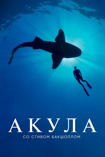Сериал «Акула со Стивом Бакшоллом» смотреть онлайн сериал в хорошем качестве 720p Сериал «Акула со Стивом Бакшоллом» смотреть онлайн сериал в хорошем качестве 720p