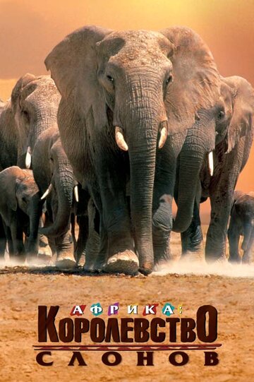 Фильм «Африка — королевство слонов» скачать бесплатно в хорошем качестве без регистрации и смс 1080p Фильм «Африка — королевство слонов» скачать бесплатно в хорошем качестве без регистрации и смс 1080p