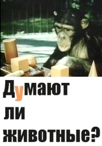 Фильм «Думают ли животные?» смотреть онлайн фильм в хорошем качестве 720p Фильм «Думают ли животные?» смотреть онлайн фильм в хорошем качестве 720p