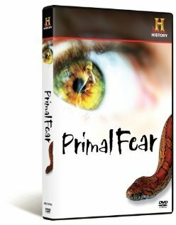 Фильм «Primal Fear» смотреть онлайн фильм в хорошем качестве 720p Фильм «Primal Fear» смотреть онлайн фильм в хорошем качестве 720p