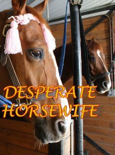 Фильм «Desperate Horsewife» смотреть онлайн фильм в хорошем качестве 1080p Фильм «Desperate Horsewife» смотреть онлайн фильм в хорошем качестве 1080p