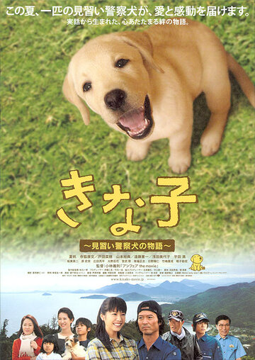Фильм «Kinako: Minarai keisatsuken no monogatari» смотреть онлайн фильм в хорошем качестве 720p Фильм «Kinako: Minarai keisatsuken no monogatari» смотреть онлайн фильм в хорошем качестве 720p