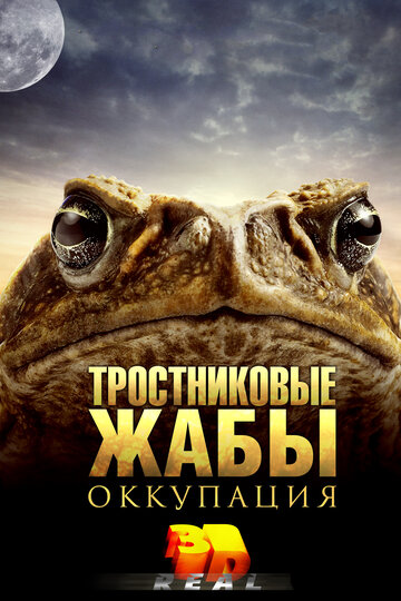 Фильм «Тростниковые жабы: Оккупация» смотреть онлайн фильм в хорошем качестве 720p Фильм «Тростниковые жабы: Оккупация» смотреть онлайн фильм в хорошем качестве 720p