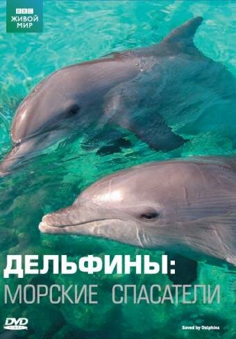Фильм «Дельфины: Морские спасатели» смотреть онлайн фильм в хорошем качестве 1080p Фильм «Дельфины: Морские спасатели» смотреть онлайн фильм в хорошем качестве 1080p