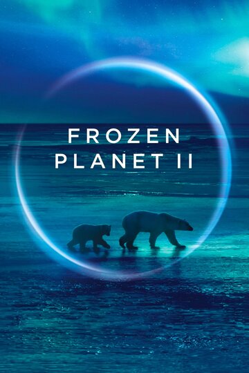 Сериал «BBC: Замерзшая планета 2» смотреть онлайн сериал в хорошем качестве 720p Сериал «BBC: Замерзшая планета 2» смотреть онлайн сериал в хорошем качестве 720p