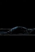 Фильм «The Sacred and the Absurd» скачать бесплатно в хорошем качестве без регистрации и смс 1080p Фильм «The Sacred and the Absurd» скачать бесплатно в хорошем качестве без регистрации и смс 1080p