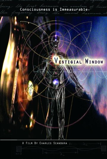 Фильм «Vestigial Window» смотреть онлайн фильм в хорошем качестве 720p Фильм «Vestigial Window» смотреть онлайн фильм в хорошем качестве 720p