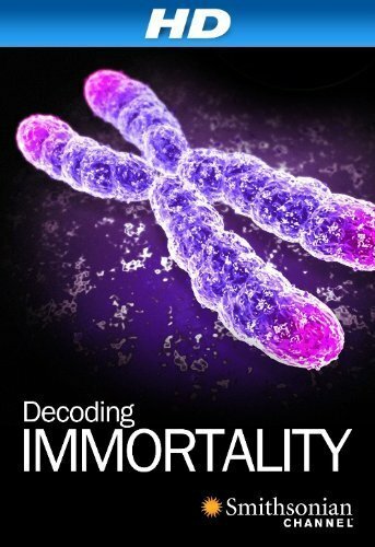 Фильм «Immortal» смотреть онлайн фильм в хорошем качестве 1080p Фильм «Immortal» смотреть онлайн фильм в хорошем качестве 1080p
