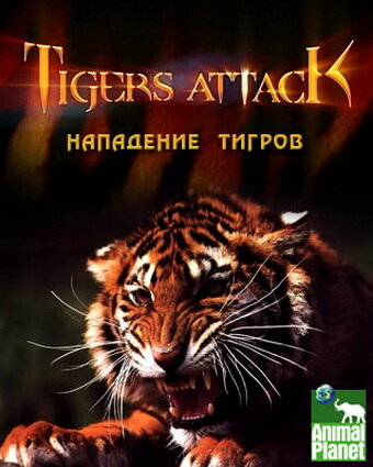 Фильм «Нападение тигров» смотреть онлайн фильм в хорошем качестве 720p Фильм «Нападение тигров» смотреть онлайн фильм в хорошем качестве 720p