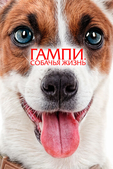 Фильм «Гампи. Собачья жизнь» смотреть онлайн фильм в хорошем качестве 720p Фильм «Гампи. Собачья жизнь» смотреть онлайн фильм в хорошем качестве 720p
