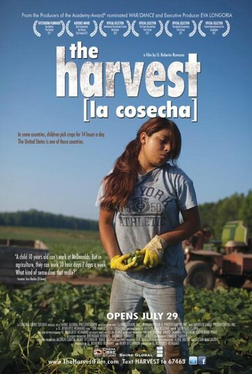 Фильм «The Harvest/La Cosecha» смотреть онлайн фильм в хорошем качестве 1080p Фильм «The Harvest/La Cosecha» смотреть онлайн фильм в хорошем качестве 1080p