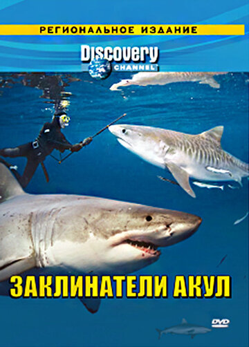 Фильм «Discovery: Заклинатели акул» смотреть онлайн фильм в хорошем качестве 1080p Фильм «Discovery: Заклинатели акул» смотреть онлайн фильм в хорошем качестве 1080p