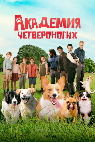 Фильм «Дрессировщики / Академия четвероногих» смотреть онлайн фильм в хорошем качестве 720p Фильм «Дрессировщики / Академия четвероногих» смотреть онлайн фильм в хорошем качестве 720p