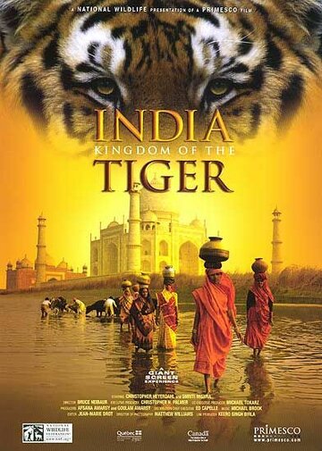 Фильм «India: Kingdom of the Tiger» смотреть онлайн фильм в хорошем качестве 720p Фильм «India: Kingdom of the Tiger» смотреть онлайн фильм в хорошем качестве 720p