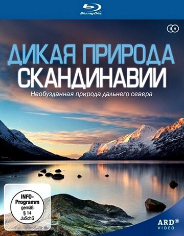Сериал «Дикая природа Скандинавии» скачать бесплатно в хорошем качестве без регистрации и смс 1080p Сериал «Дикая природа Скандинавии» скачать бесплатно в хорошем качестве без регистрации и смс 1080p