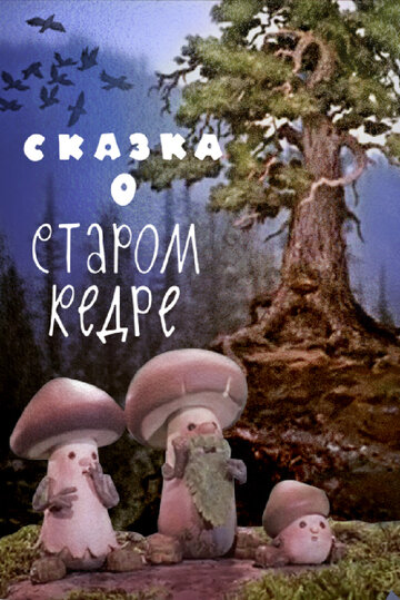 Мультфильм «Сказка о старом кедре» смотреть онлайн в хорошем качестве 720p Мультфильм «Сказка о старом кедре» смотреть онлайн в хорошем качестве 720p