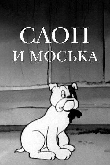 Мультфильм «Слон и Моська» скачать бесплатно в хорошем качестве без регистрации и смс 1080p Мультфильм «Слон и Моська» скачать бесплатно в хорошем качестве без регистрации и смс 1080p
