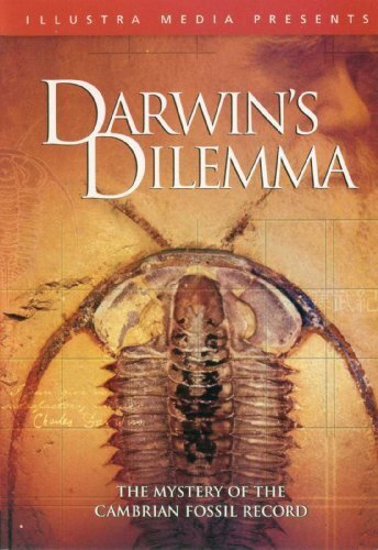 «Darwin's Dilemma» кадры фильма в хорошем качестве «Darwin's Dilemma» кадры фильма в хорошем качестве