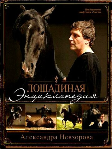 Фильм «Лошадиная энциклопедия» смотреть онлайн фильм в хорошем качестве 720p Фильм «Лошадиная энциклопедия» смотреть онлайн фильм в хорошем качестве 720p