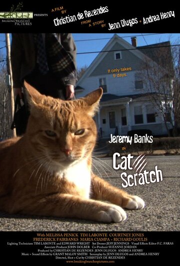 Фильм «Cat Scratch» смотреть онлайн фильм в хорошем качестве 1080p Фильм «Cat Scratch» смотреть онлайн фильм в хорошем качестве 1080p
