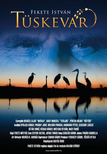 Фильм «Терновая крепость» смотреть онлайн фильм в хорошем качестве 720p Фильм «Терновая крепость» смотреть онлайн фильм в хорошем качестве 720p