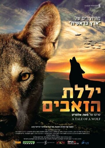 Фильм «Рассказ о волке» смотреть онлайн фильм в хорошем качестве 720p Фильм «Рассказ о волке» смотреть онлайн фильм в хорошем качестве 720p