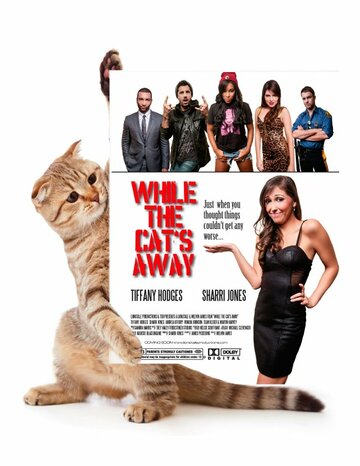 Фильм «While the Cat's Away» смотреть онлайн фильм в хорошем качестве 1080p Фильм «While the Cat's Away» смотреть онлайн фильм в хорошем качестве 1080p