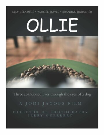 Фильм «Ollie» смотреть онлайн фильм в хорошем качестве 720p Фильм «Ollie» смотреть онлайн фильм в хорошем качестве 720p