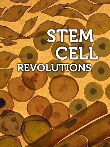 ТВ-передача «Stem Cell Revolutions» смотреть онлайн в хорошем качестве 720p ТВ-передача «Stem Cell Revolutions» смотреть онлайн в хорошем качестве 720p