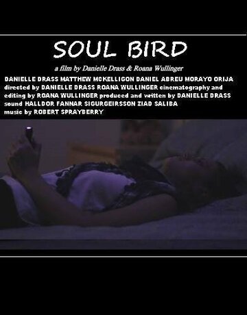Фильм «Soul Bird» скачать бесплатно в хорошем качестве без регистрации и смс 1080p Фильм «Soul Bird» скачать бесплатно в хорошем качестве без регистрации и смс 1080p