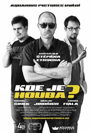 Фильм «Kde je Houba?» скачать бесплатно в хорошем качестве без регистрации и смс 1080p Фильм «Kde je Houba?» скачать бесплатно в хорошем качестве без регистрации и смс 1080p