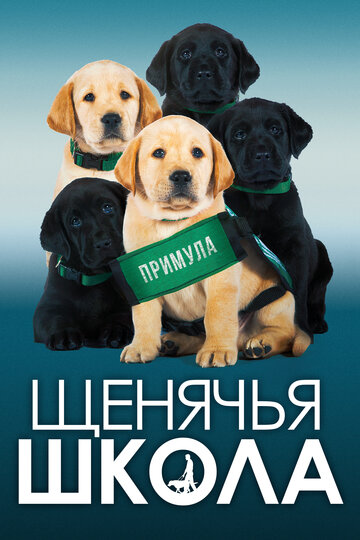 «Щенячья школа» кадры фильма в хорошем качестве «Щенячья школа» кадры фильма в хорошем качестве