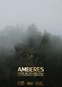Amberes (2012)