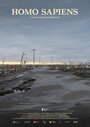 Человек разумный